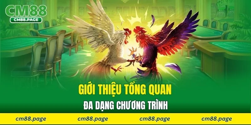 Giới thiệu tổng quan sảnh đá gà CM88