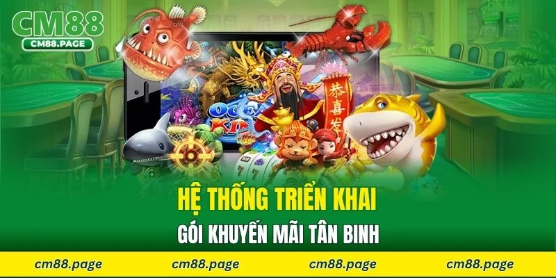 Hệ thống triển khai gói khuyến mãi tân binh
