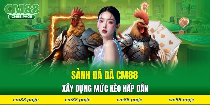 Sảnh đá gà CM88 xây dựng mức kèo hấp dẫn